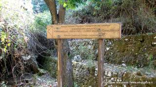 stello marchesa di Cassibile-10-02-2015 19-56-25